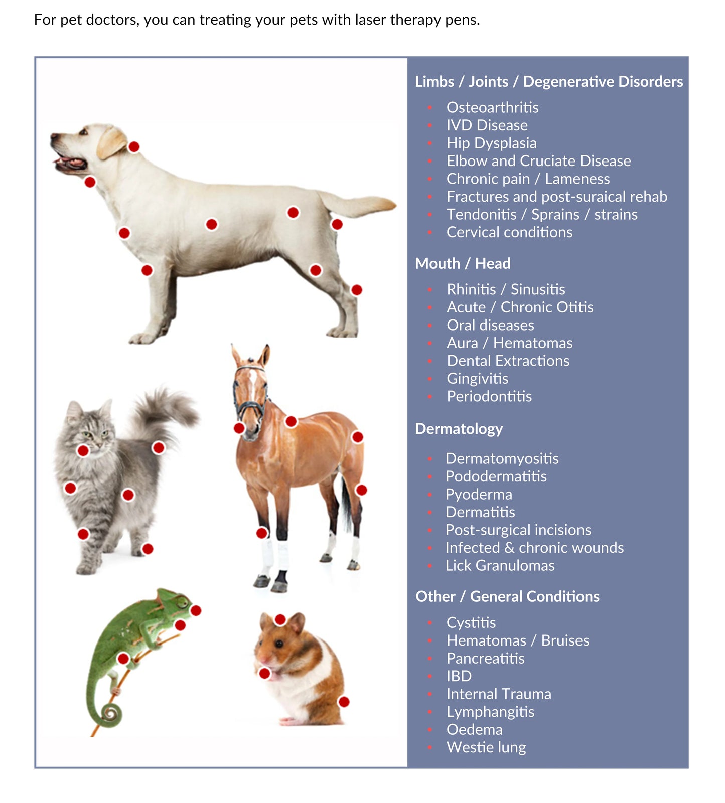 Rechargeable Cold Laser Therapy Device for Dogs. Muscle/Joint Pain Massage and Relaxation