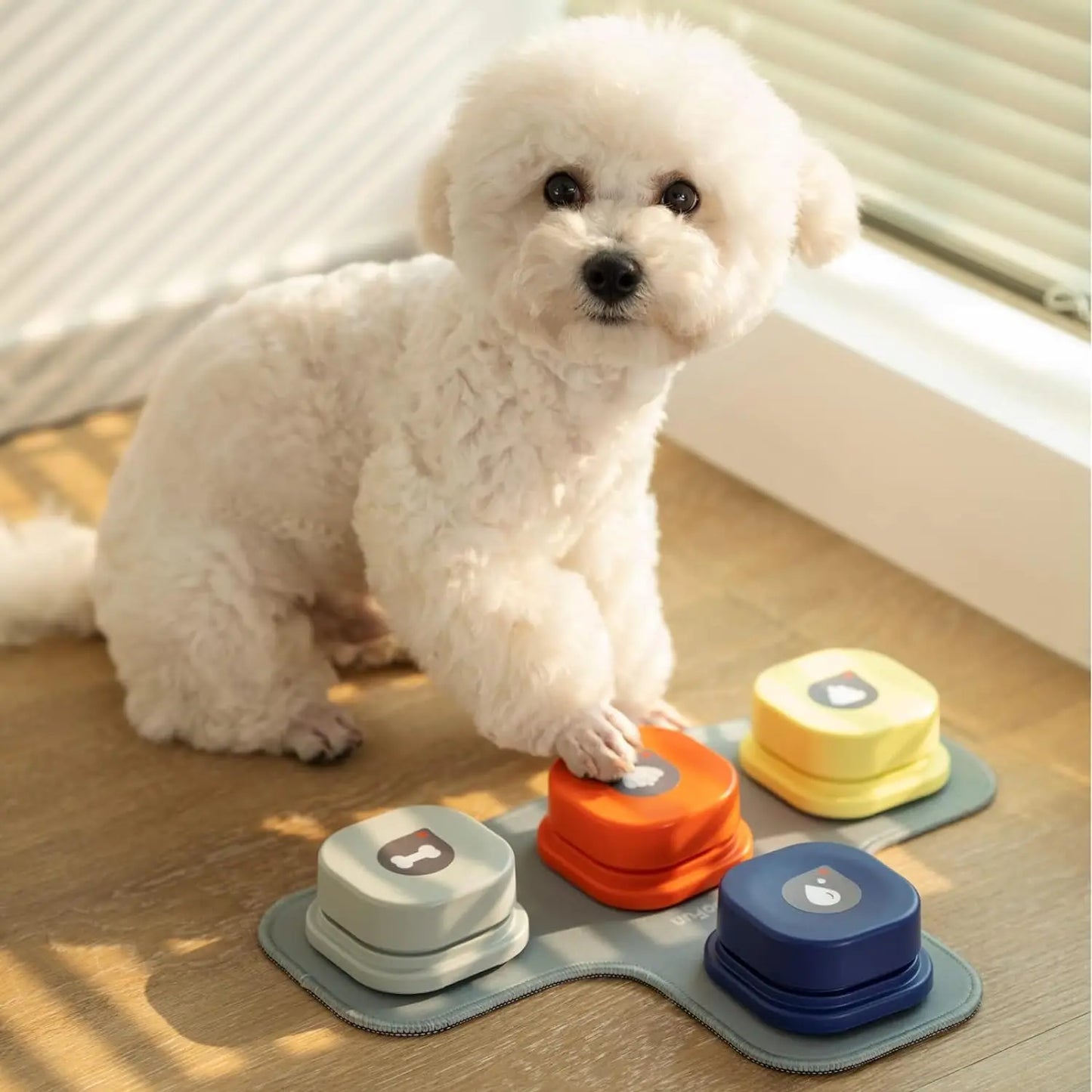 Recordable Communication Toy for Dogs and Cats with Talking Button Set - MEWOOFUN