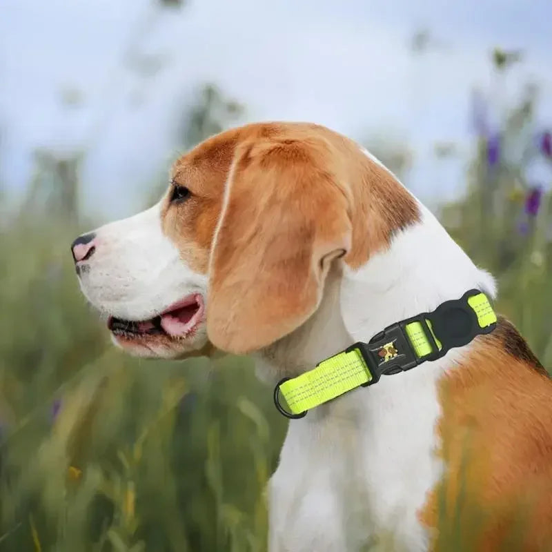 GPS Pet Tracker Collar for Cats and Small Dogs - Lightweight and Comfortable