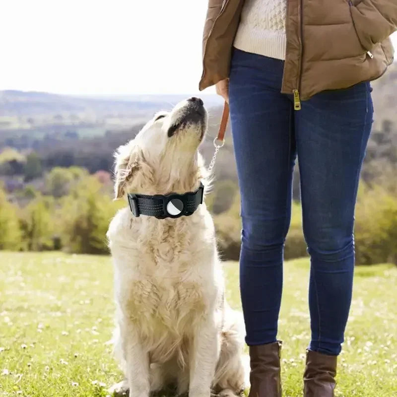 GPS Pet Tracker Collar for Cats and Small Dogs - Lightweight and Comfortable