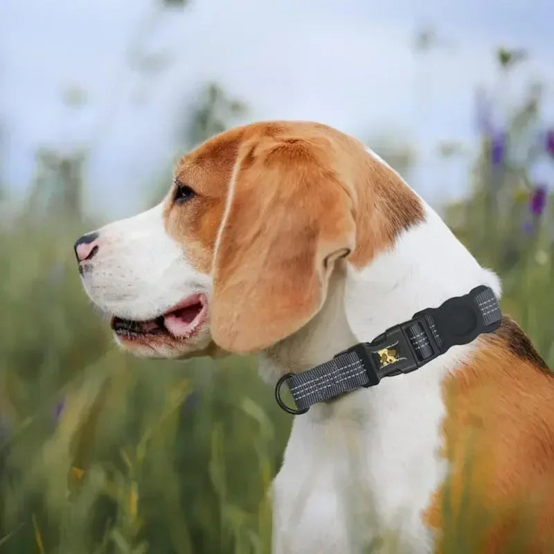 GPS Pet Tracker Collar for Cats and Small Dogs - Lightweight and Comfortable