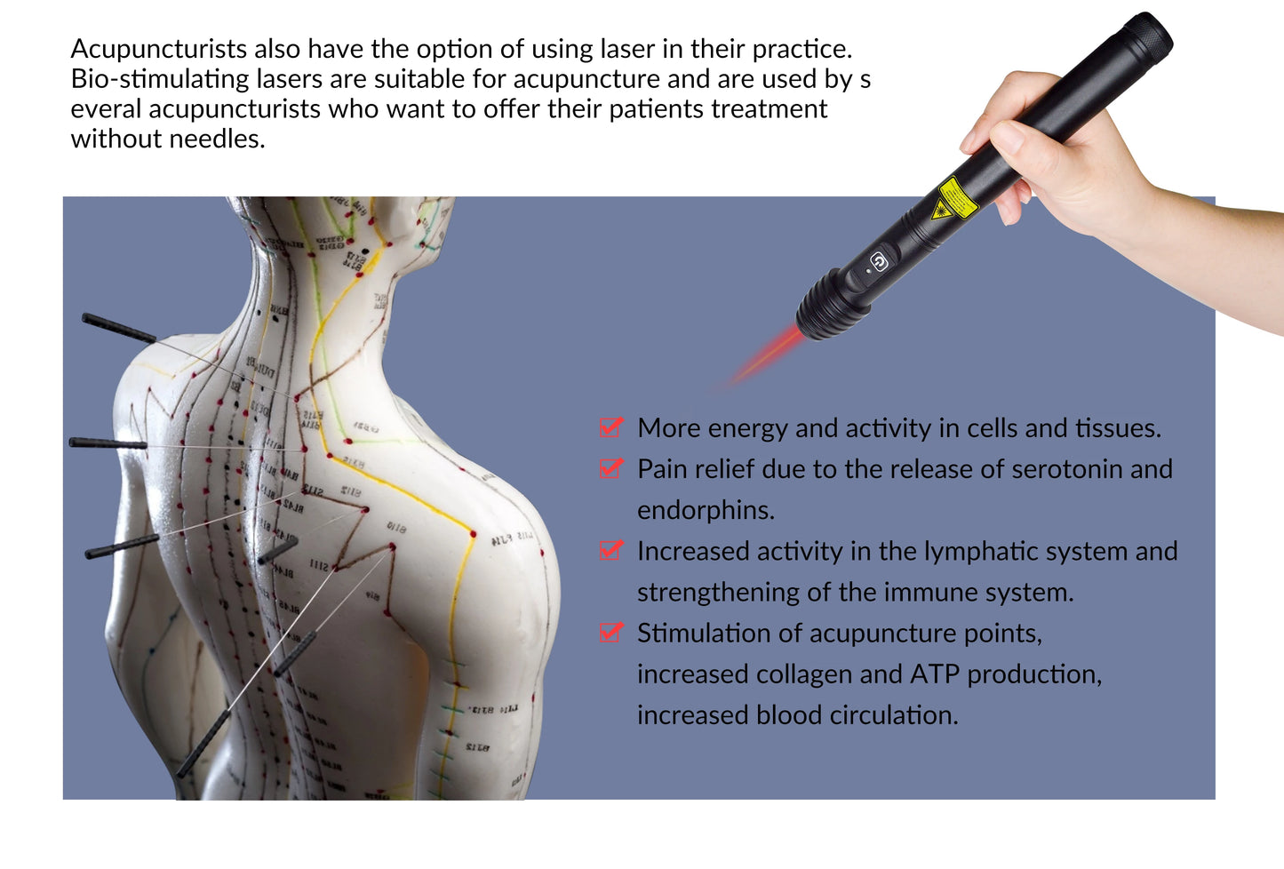 Rechargeable Cold Laser Therapy Device for Dogs. Muscle/Joint Pain Massage and Relaxation