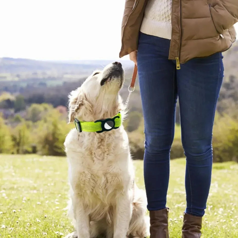 GPS Pet Tracker Collar for Cats and Small Dogs - Lightweight and Comfortable