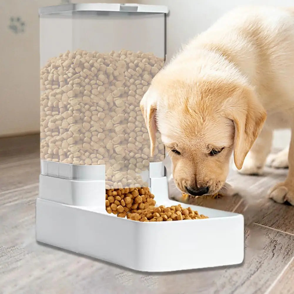 3.8L Automatic Pet Feeder and Water Bowl with Detachable water Bowl for Easy Cleaning