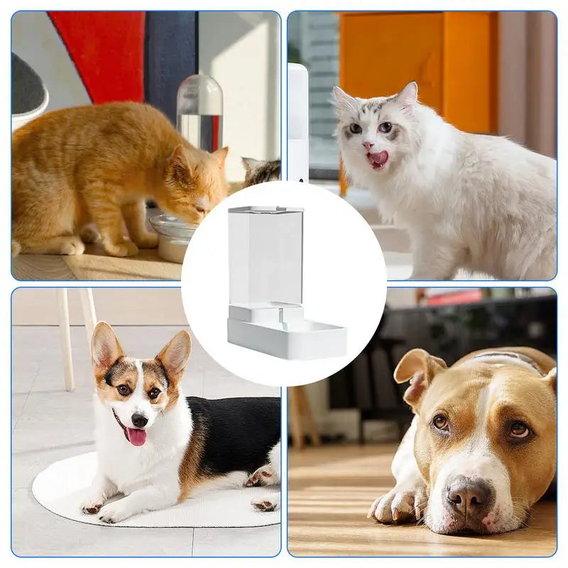 3.8L Automatic Pet Feeder and Water Bowl with Detachable water Bowl for Easy Cleaning