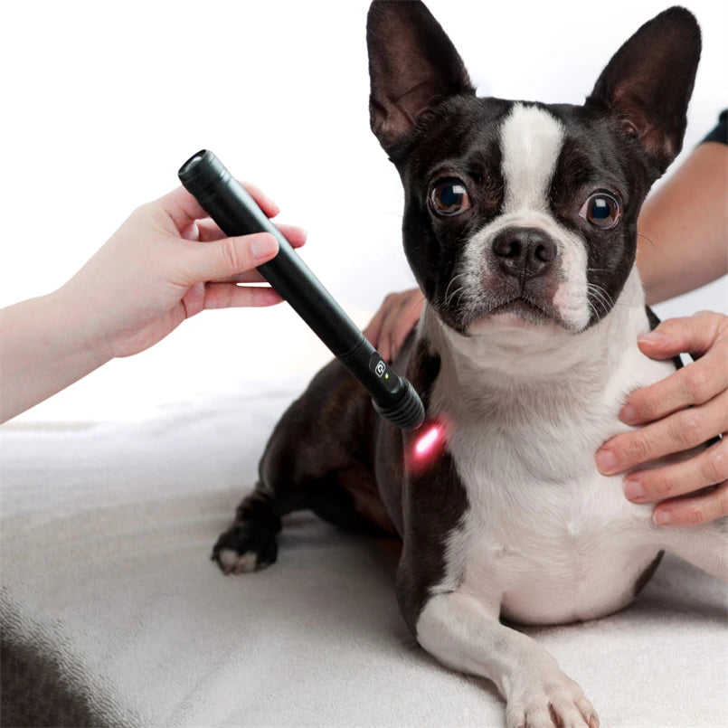 Rechargeable Cold Laser Therapy Device for Dogs. Muscle/Joint Pain Massage and Relaxation