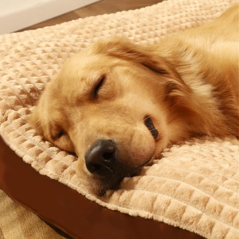 Warm and Cozy Bed for Pets with Soft Fleece Sleeping Technology